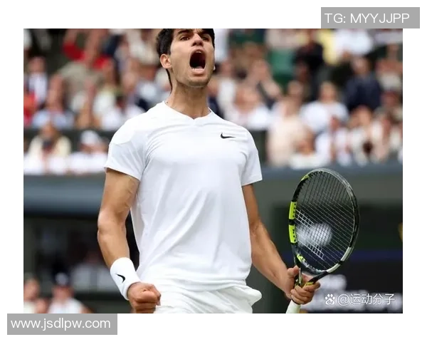 网球四大满贯赛事精彩回顾澳网法网温网美网的辉煌瞬间与传奇故事